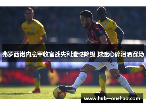 弗罗西诺内意甲收官战失利遗憾降级 球迷心碎泪洒赛场 弗罗西诺内意甲收官战失利遗憾降级 球迷心碎泪洒赛场